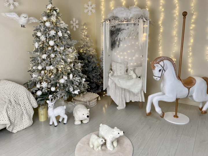 Family room (светлый зал)