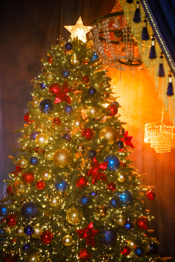 Птички | ШЕПОТ ЗВЕЗД с 19.11 до 25.01