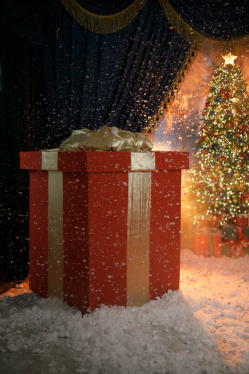 Птички | ШЕПОТ ЗВЕЗД с 19.11 до 25.01