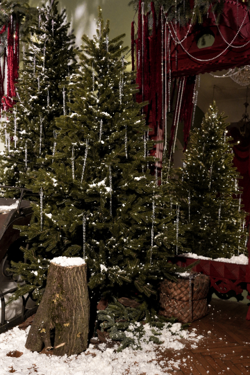 «Русские сказки»