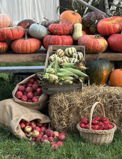 Локация для мероприятий (утро)