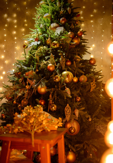 Зал LOFT (НГ декорации 27.10 по 20.01)