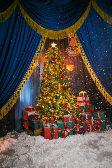 Птички | ШЕПОТ ЗВЕЗД с 19.11 до 25.01