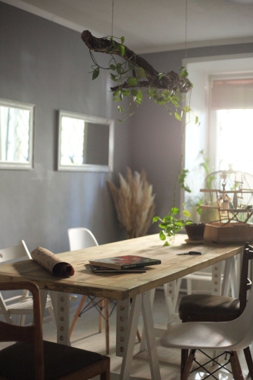 Цветы и травы