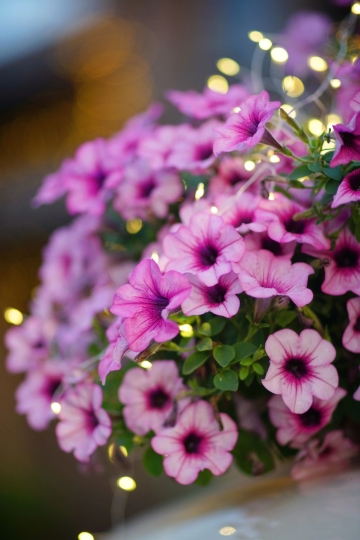 Ретро авто с цветочным декором