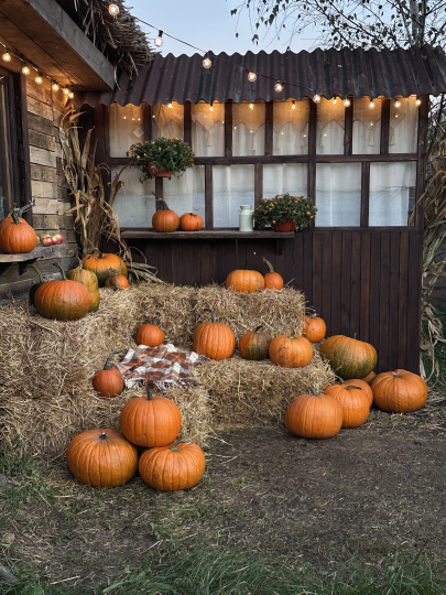 Локация для мероприятий (утро)