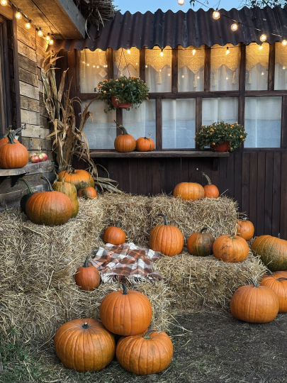 Локация для мероприятий (утро)