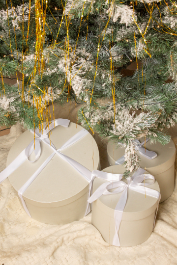 Студия целиком