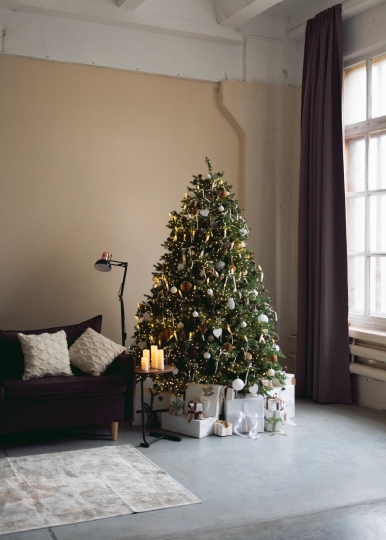 Зал Квартира