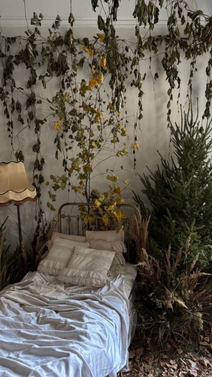 Малая комната на Петроградской