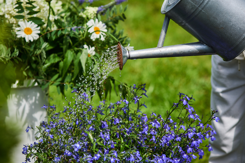 Фотодача «Традиция»