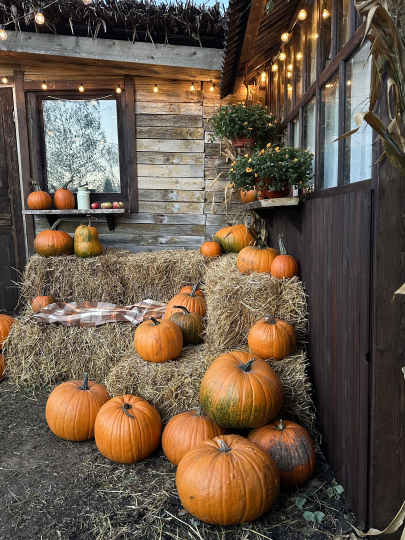 Локация для мероприятий (утро)