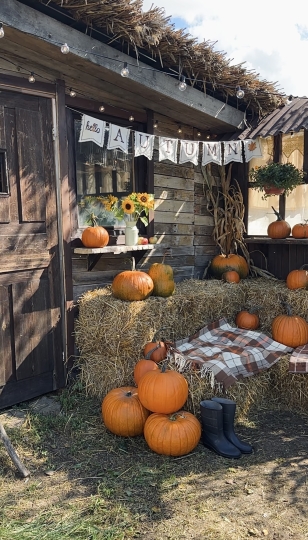 Локация для мероприятий (утро)