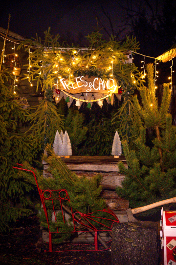 Фотодача Kalina