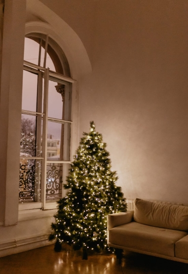 Окна на Юг( НГ декор с 1 декабря)