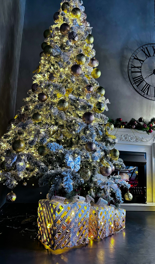 ЦИКЛОРАМА и ИНТЕРЬЕР