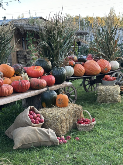 Локация для мероприятий (утро)