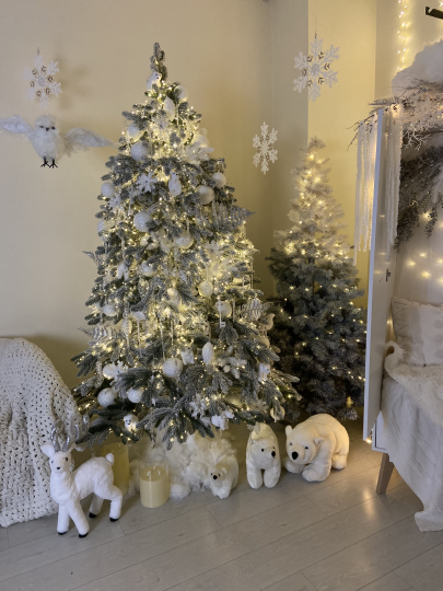 Family room (светлый зал)