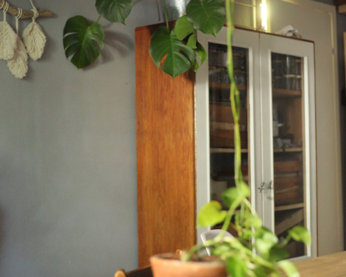 Цветы и Травы