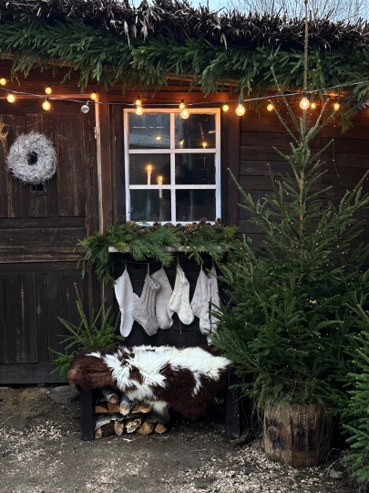 Дачные истории