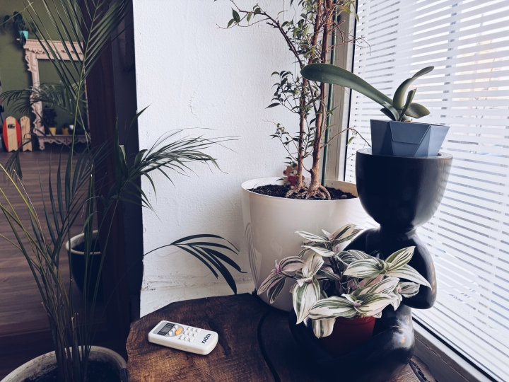 Унца Унца Курская