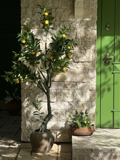 Villa Rossa - Фотодом Балашиха (Вилла Росса)