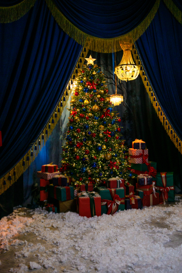 Где живут птички?