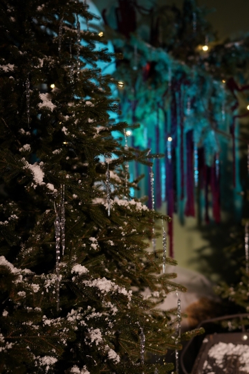 Фотостудия "Век" в усадьбе XVII века