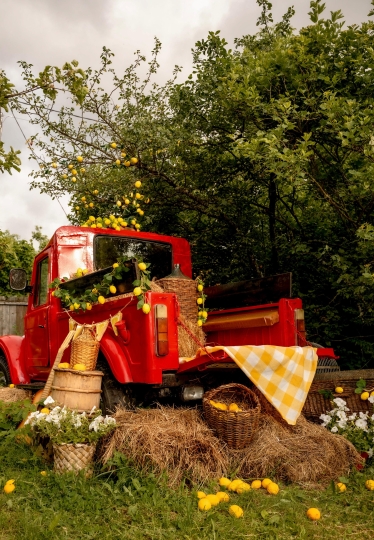 Фотодача Kalina