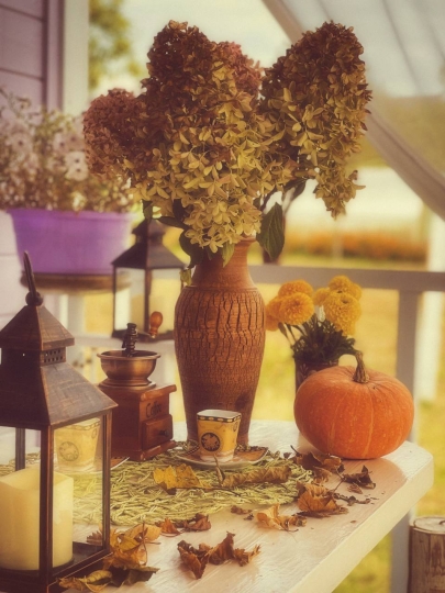 Дом_Кот_Быт