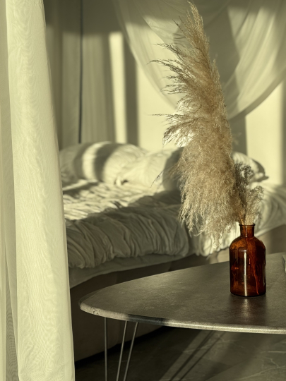 Фотостудия D8