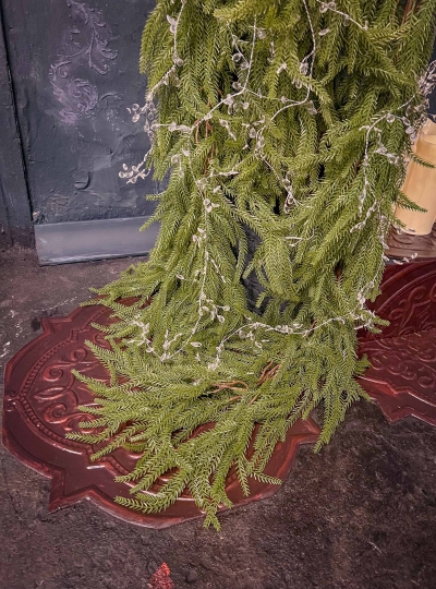 Эхо-локация