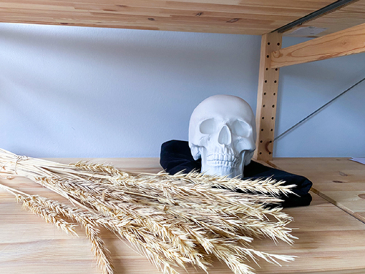 ARTA на Кольском