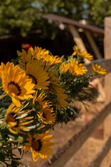 Фотодача Kalina