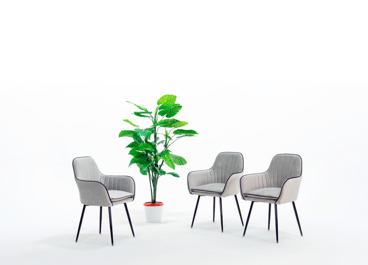 БЕЛАЯ СТУДИЯ