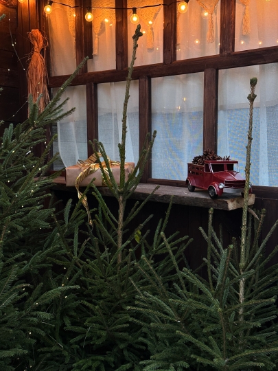 Дачные истории