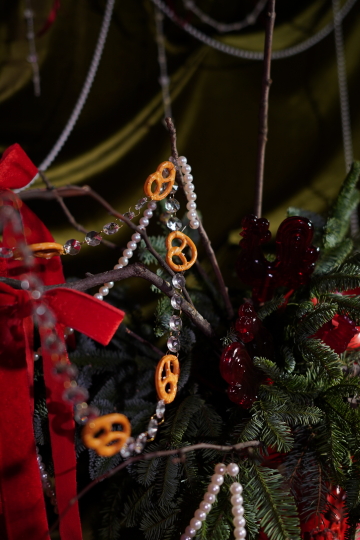 Фотостудия "Век" в усадьбе XVII века