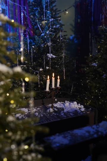 Фотостудия "Век" в усадьбе XVII века