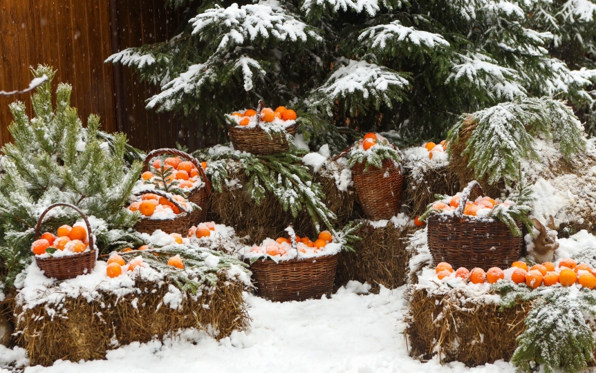 Villa Rossa - Фотодом Балашиха (Вилла Росса)