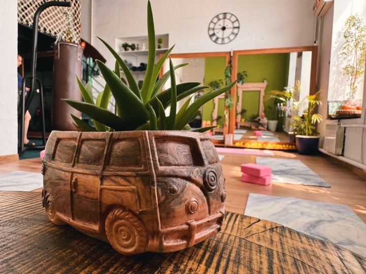 Унца Унца Курская