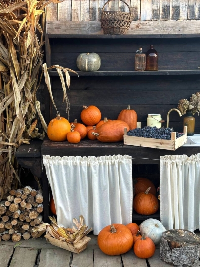 Дачные истории