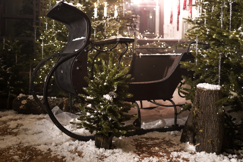 Фотостудия "Век" в усадьбе XVII века