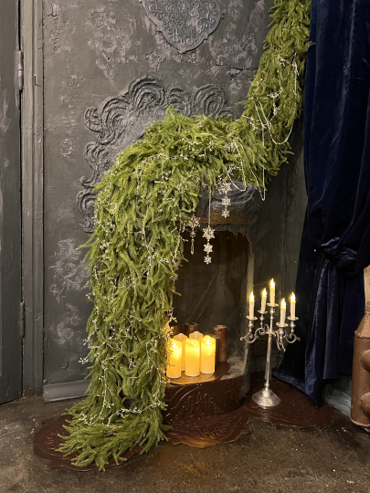 Эхо-локация