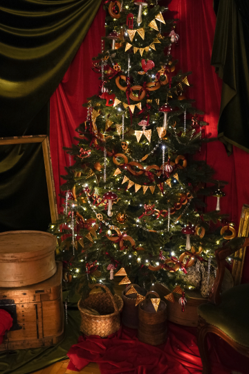 Фотостудия "Век" в усадьбе XVII века