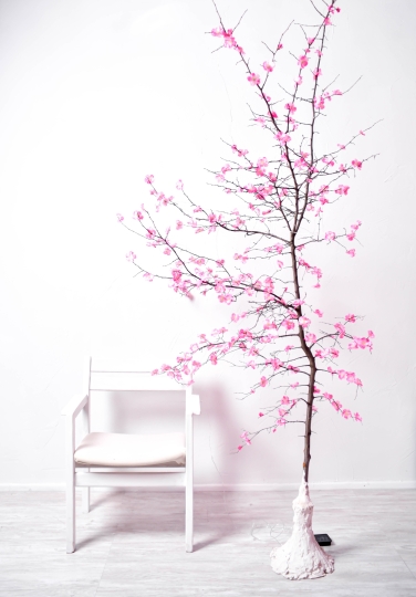 Фотостудия "SOFI"