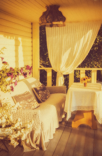 Дом_Кот_Быт