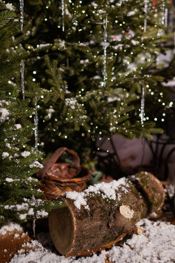 Фотостудия "Век" в усадьбе XVII века