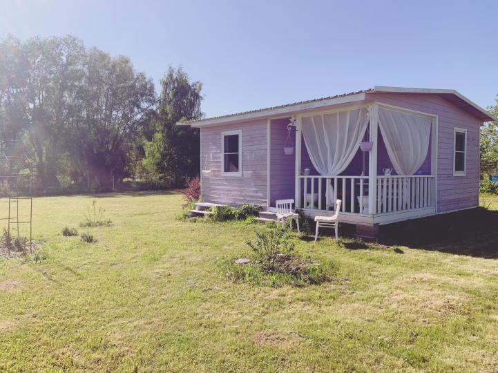 Дом_Кот_Быт