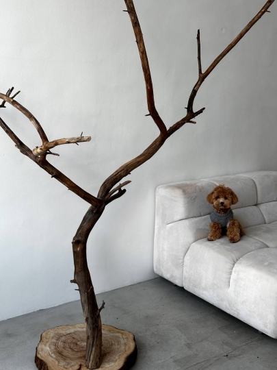 13 POINT (м.Аэропорт)