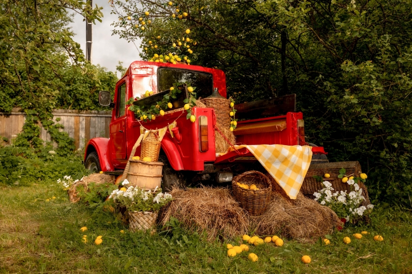 Фотодача Kalina